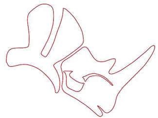 Generated Vector