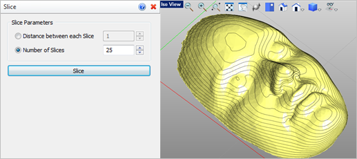 Optional Slice Parameters Optional Slice Parameters